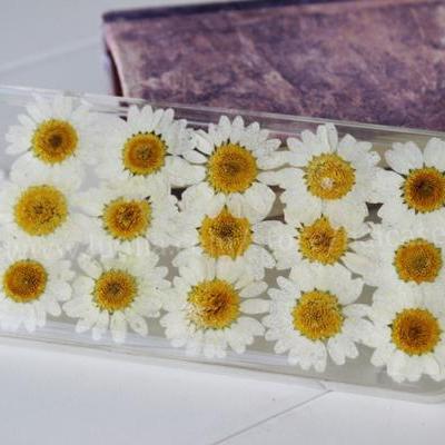  iphone 6 case, iphone 6 plus case, Real Flower,Pressed Flower iphone 5s case, iphone 5c case, iphone 5 case, iphone 4s 4 case