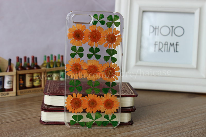 Real Flower,pressed Flower Iphone 6 Case, Iphone 6 Plus Case,iphone 5s Case, Iphone 5c Case, Iphone 5 Case, Iphone 4s 4 Case