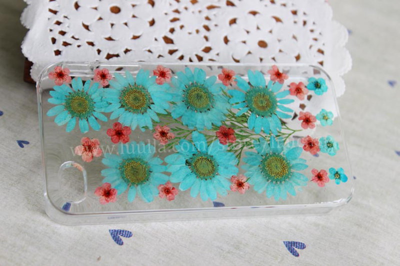 Real Flower,pressed Flower Iphone 6 Plus Case, Iphone 6 Case, Iphone 5s Case, Iphone 5c Case, Iphone 5 Case, Iphone 4s 4 Case