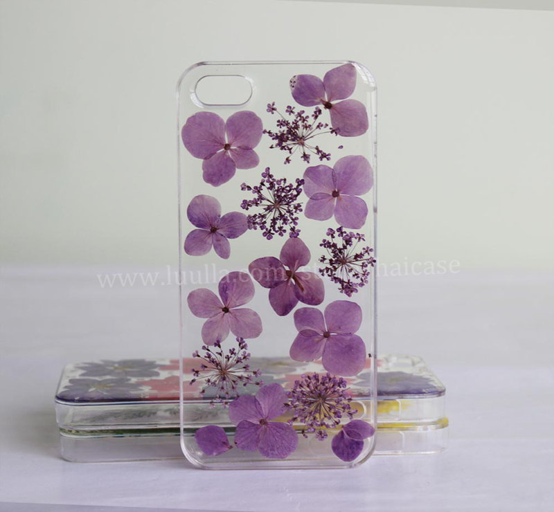 Purple Pressed Flower Iphone 6 Case Real Flower Iphone 6 Plus Case Iphone 5s Case Iphone 5 Case Iphone 5c Case Iphone 4s 4 Case